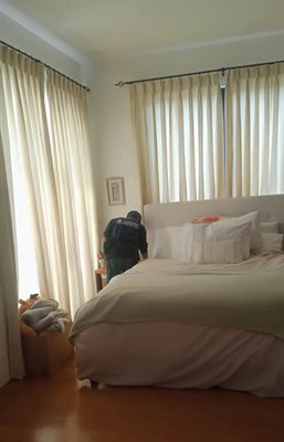 Bedbugs Control