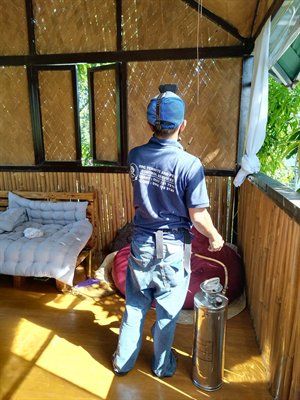 Termite Prevention