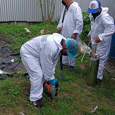Soil Poisoning Treatment