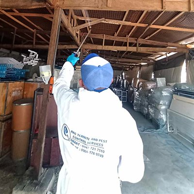 General Pest Control Treatment for Cockroaches, Ants, Mosquitoes, Flies