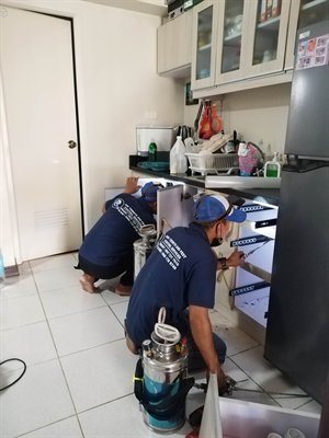 General Pest Control